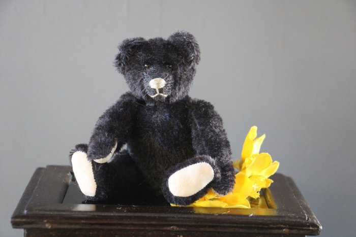 Image 3 of Haida, Sonnenberg - Teddy bear black - 1980-1989 - Germany