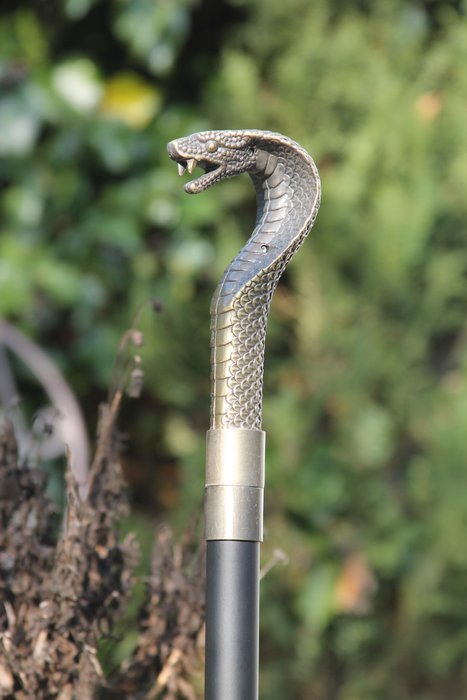 Bastone da passeggio - serpente cobra - Ottone