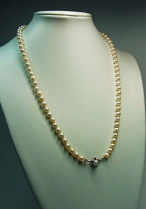 Image 3 of Akoya-Perlenkette in Matinee-Länge - 835 Akoya pearls, Silver - Necklace - 165.00 ct Akoya Pearl