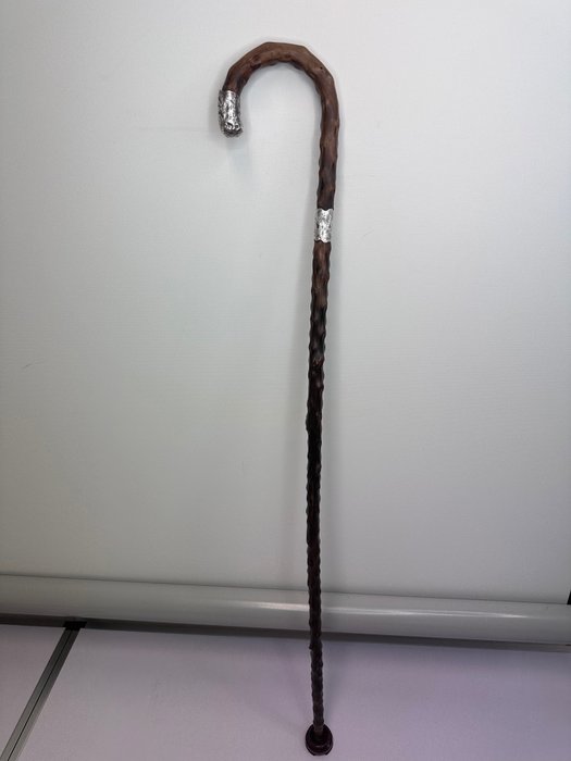 Image 2 of Walking stick, English classic copy with silver strap - Bronze (silvered), Hawthorn (hawthorn) - Ci