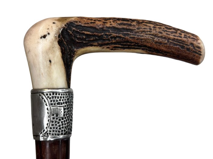 Preview of the first image of Walking stick, English classic piece with silver cuff and handle of deer horn - Silver, Hawthorn (h.