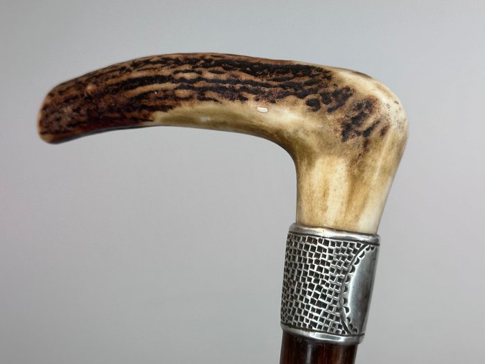 Image 3 of Walking stick, English classic piece with silver cuff and handle of deer horn - Silver, Hawthorn (h