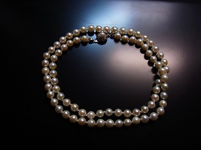 Image 2 of Akoya-Perlenkette in Matinee-Länge - 835 Akoya pearls, Silver - Necklace - 165.00 ct Akoya Pearl