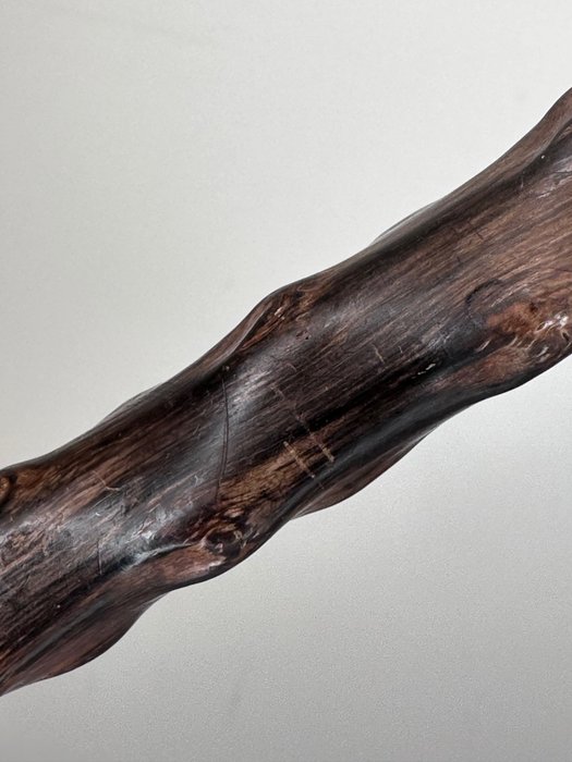Image 2 of Walking stick, Terrier dog handle carved from a deer antlers - Bone, Coromandel - Circa 1940