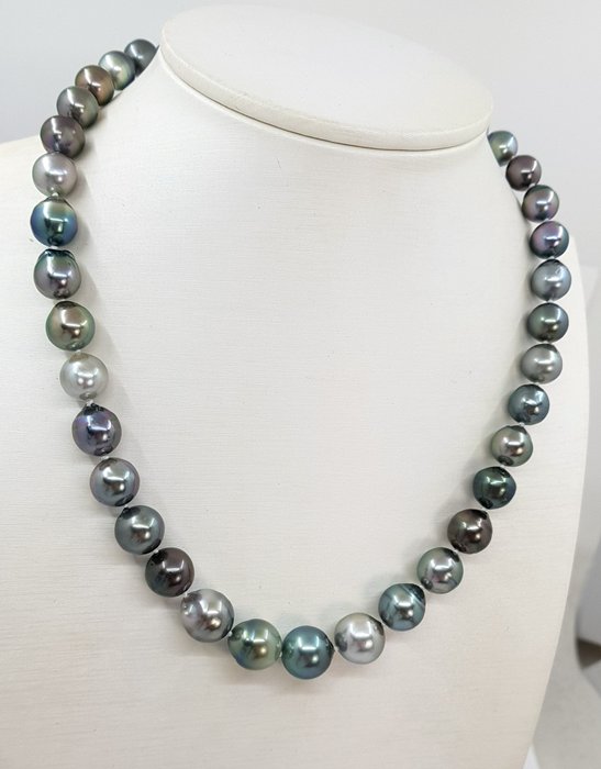 Preview of the first image of 8.3x12mm Multi Tahitian Pearls - 14 kt. White gold - Necklace.
