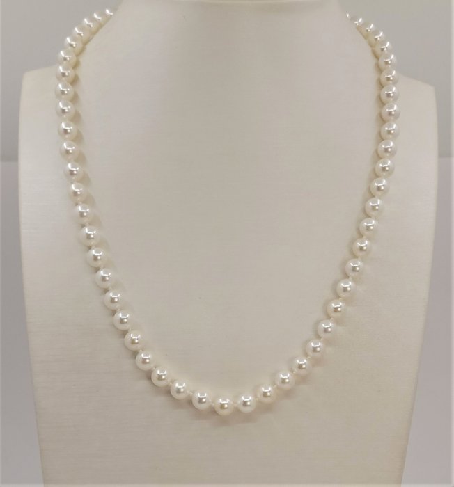Image 3 of 6.5x7mm Akoya Pearls - 14 kt. White gold - Necklace