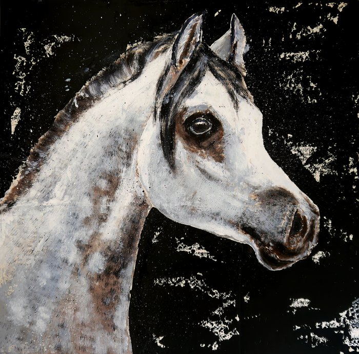 Preview of the first image of Bazévian DelaCapucinière - Portrait Animalier cheval blanc.