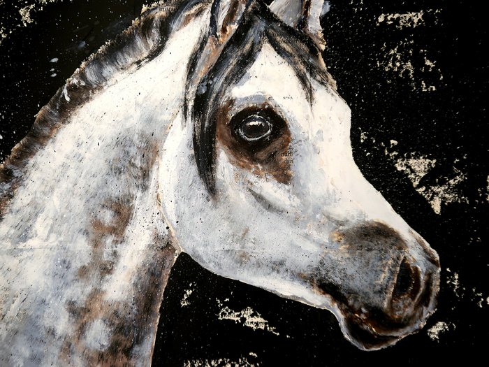 Image 3 of Bazévian DelaCapucinière - Portrait Animalier cheval blanc