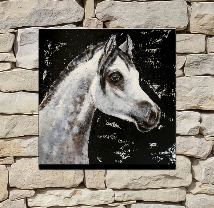 Image 2 of Bazévian DelaCapucinière - Portrait Animalier cheval blanc