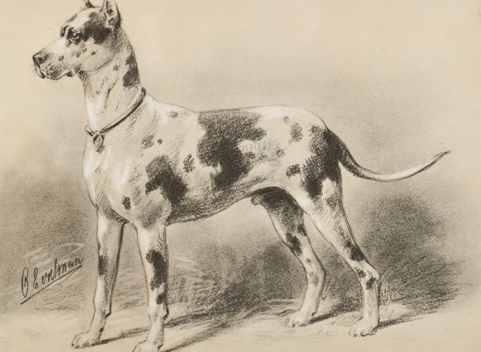 Preview of the first image of Otto Eerelman (1839-1926 - De Deense Dog.