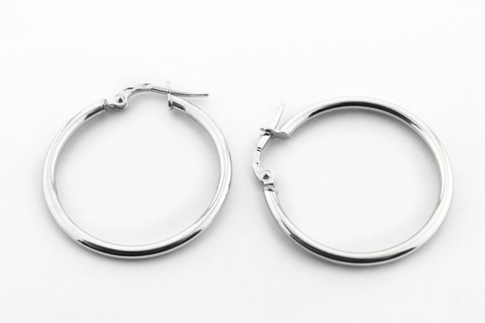 Preview of the first image of Senza Prezzo di Riserva - 18 kt. Gold, White gold - Earring.