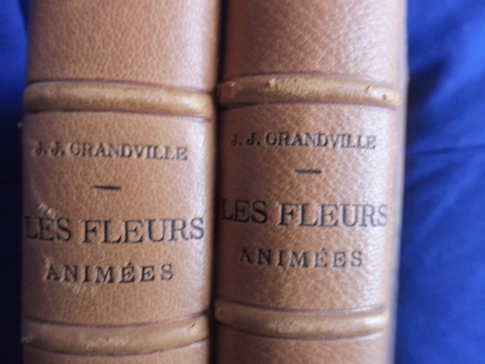 Image 2 of J.J. Grandville - Les Fleurs animées - 1857