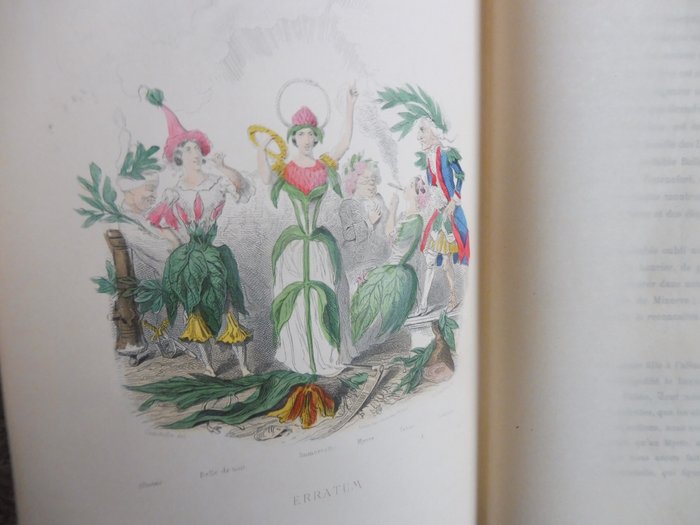 Preview of the first image of J.J. Grandville - Les Fleurs animées - 1857.