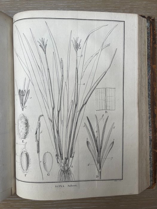 Image 2 of Poisson, Arago, Biot, Deleambre, Cuvier & Guyton-Morveau - Memoires de la classe des sciences mathé