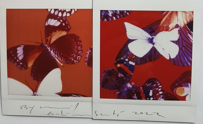 Image 2 of Maurizio Galimberti (1956) - Butterfly