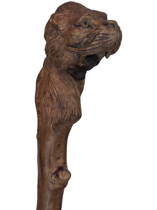 Preview of the first image of Walking stick, Otter - Folk Art - Burrwood - Late 19th century.