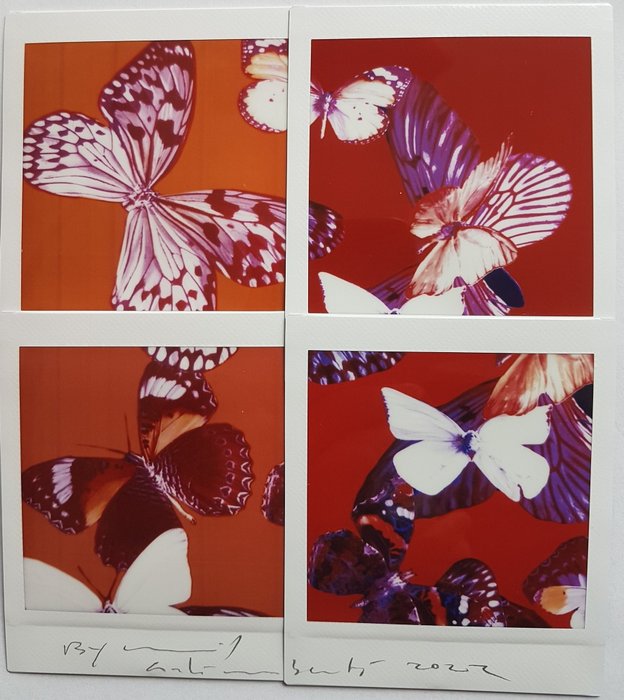 Preview of the first image of Maurizio Galimberti (1956) - Butterfly.