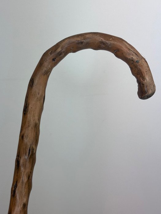 Image 3 of Walking stick, English classic copy - Hawthorn (hawthorn) - Circa 1850