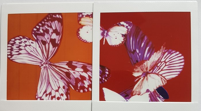 Image 3 of Maurizio Galimberti (1956) - Butterfly