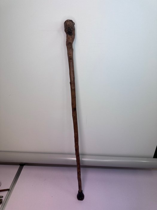 Image 2 of Walking stick, Otter - Folk Art - Burrwood - Late 19th century