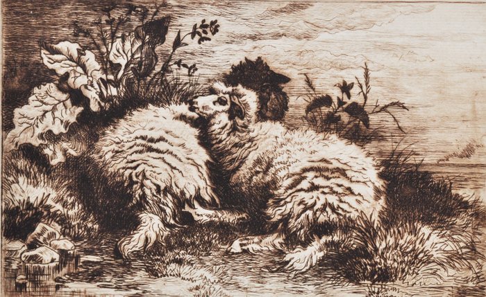 Preview of the first image of Thomas George Cooper (1835-1901), after - Sheep in Nature.
