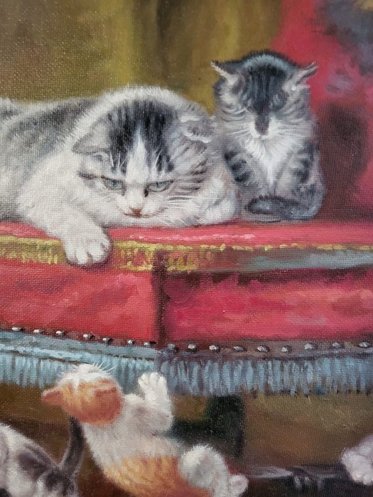Image 3 of Winston Spencer (XX) - Chatte et ses chatons