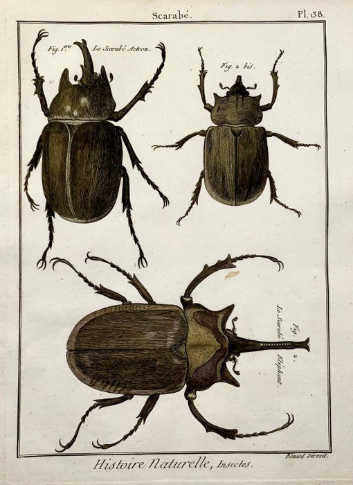Image 3 of Lot of 2 quarto by Pierre André Latreille (1762 - 1833) ; Benard sc. - Scarab Beetles