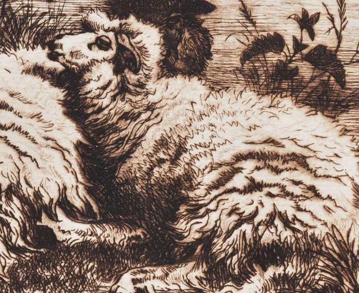 Image 3 of Thomas George Cooper (1835-1901), after - Sheep in Nature