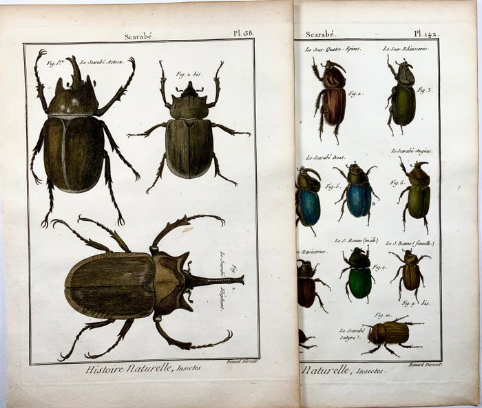 Preview of the first image of Lot of 2 quarto by Pierre André Latreille (1762 - 1833) ; Benard sc. - Scarab Beetles.
