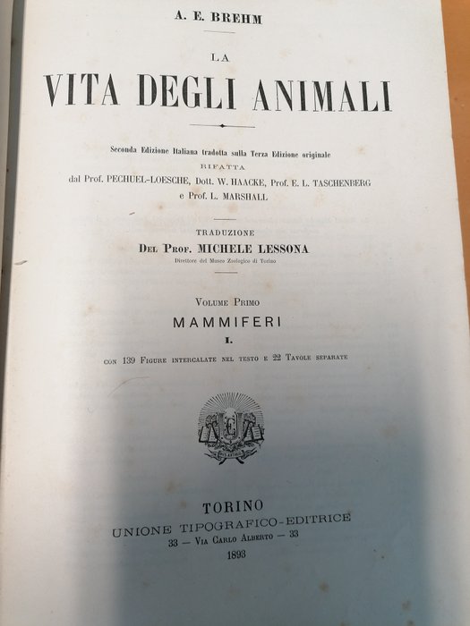 Image 3 of M.Neumaye / Kerner di Marilaun / Ranke / Ratzel - Storia naturale - 1896