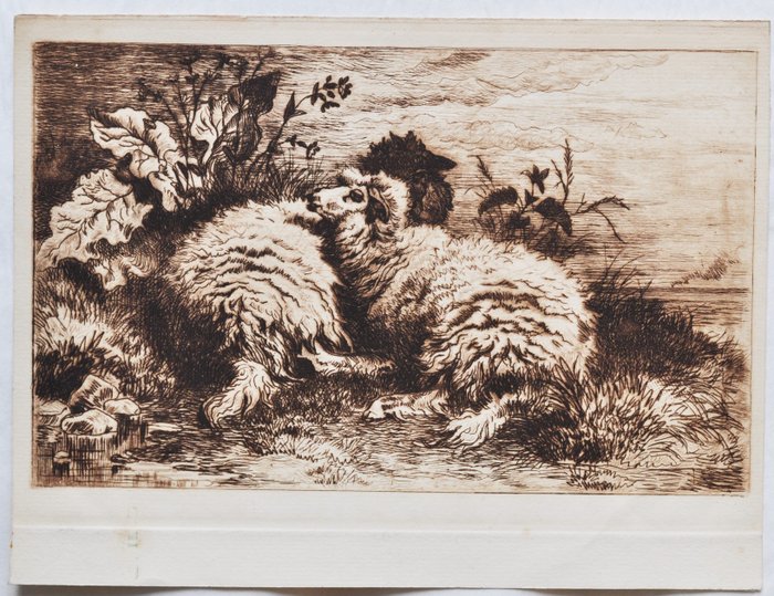 Image 2 of Thomas George Cooper (1835-1901), after - Sheep in Nature