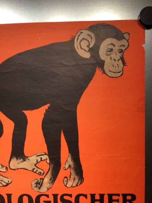 Image 2 of Anonymous - ca. 1900 Zoo poster chimpansee - Affiche (1)