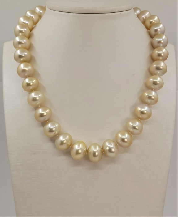 Preview of the first image of 13.3x16.3mm Deep Golden South Sea Pearls - 925 Silver - Necklace.