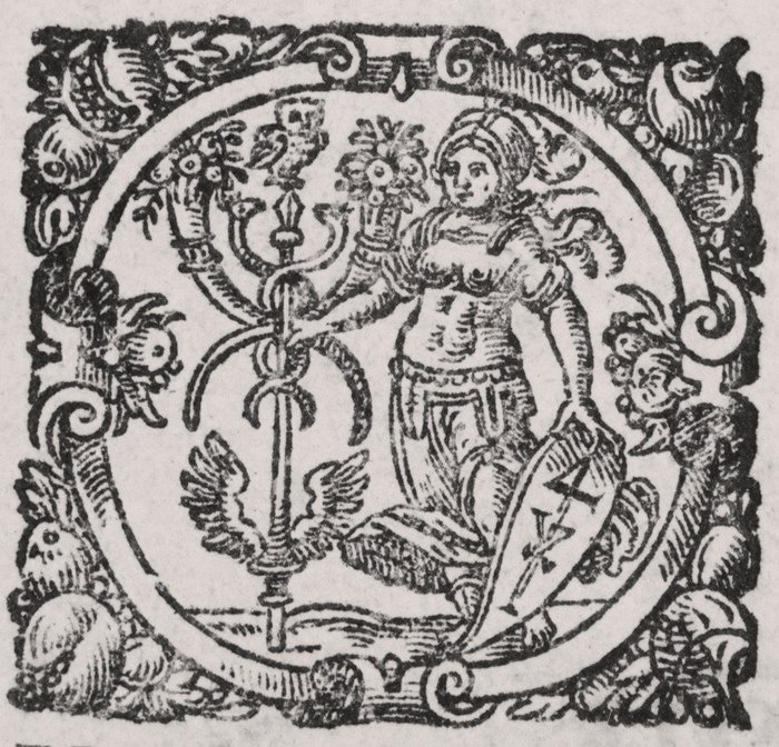 Image 3 of Lindeberg / Rantzau - Iuuenilium partes tres - 1595