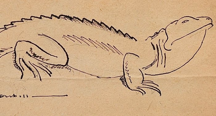 Image 3 of Auguste Roubille (1872-1955) - Iguane