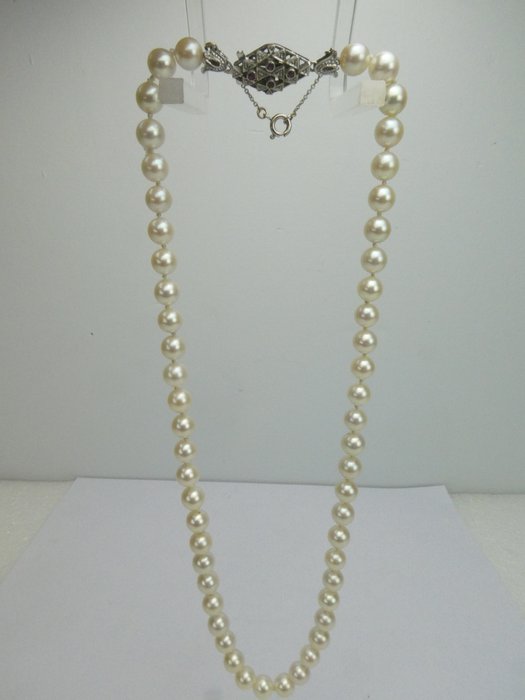 Preview of the first image of 18 kt. Akoya pearls, White gold - Necklace.