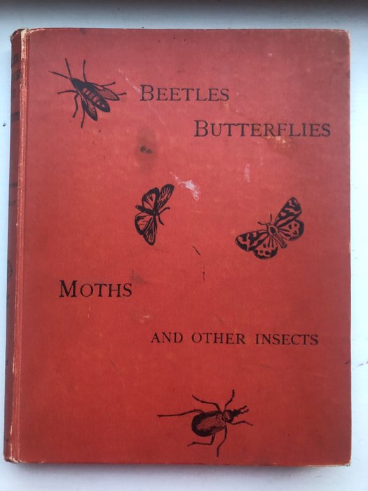 Image 2 of August Kappel / Egmont Kirby - Beetles Butterflies Moths and other Insects. { 13 plates} - 1893