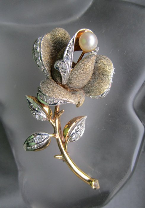 Preview of the first image of Rose Brooch Gold-plated, Silver - Brooch Akoya Pearl.