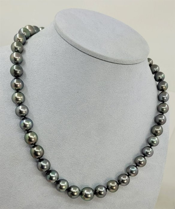 Image 3 of no reserve -Certificate Pearl Science Lab - 8.0x10.9mm Tahitian Pearls - 14 kt. White gold - Neckla