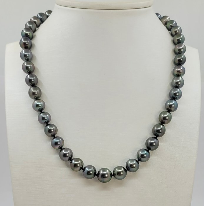 Image 2 of no reserve -Certificate Pearl Science Lab - 8.0x10.9mm Tahitian Pearls - 14 kt. White gold - Neckla