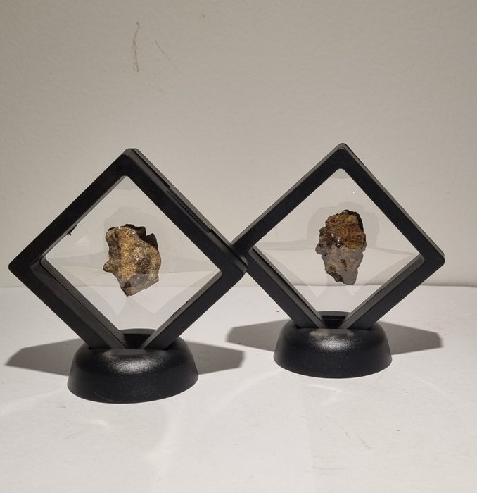 Collection de météorites - SERICHO - AL HAGGOUNIA 001 - dans les affichages - 34.1 g - (2)