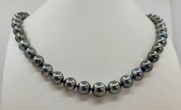 Preview of the first image of no reserve -Certificate Pearl Science Lab - 8.0x10.9mm Tahitian Pearls - 14 kt. White gold - Neckla.