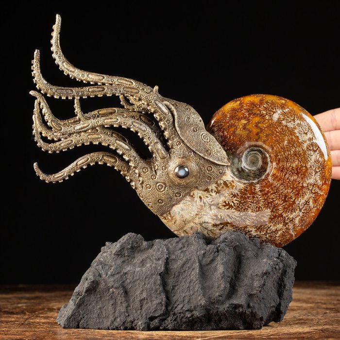 Ammonite - Artful reconstruction, using genuine specimen - Aioloceras (Cleoniceras) sp. - 28×27.5×13 cm