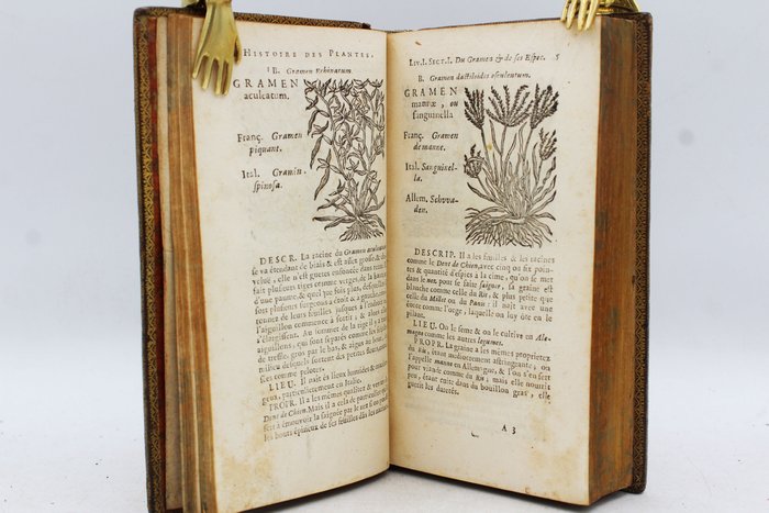 Preview of the first image of Jean Baptiste Deville - Histoire Des Plantes De L'Europe - 1689.
