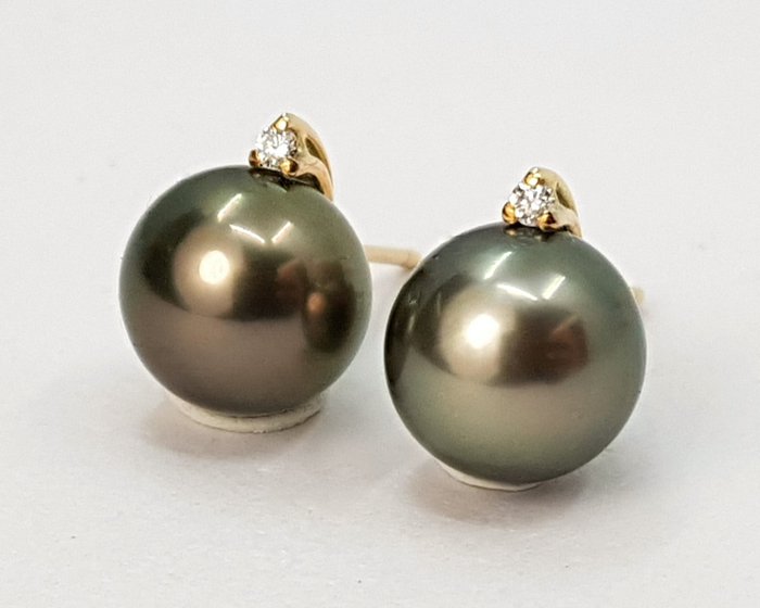 Preview of the first image of no reserve - 9x10mm Round Tahitian Pearls - 14 kt. Yellow gold - Earrings - 0.04 ct.