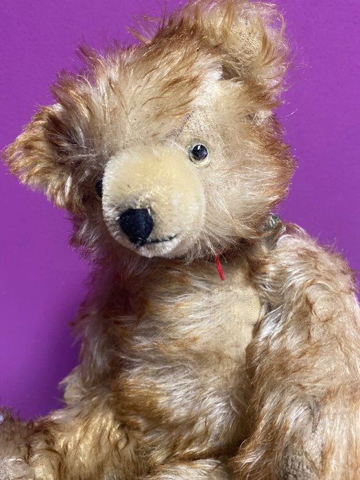 Image 3 of Hermann Teddy - Vintage - Teddy bear with pointed mohair - 1950-1959 - Germany