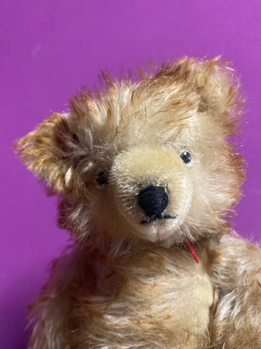 Image 2 of Hermann Teddy - Vintage - Teddy bear with pointed mohair - 1950-1959 - Germany