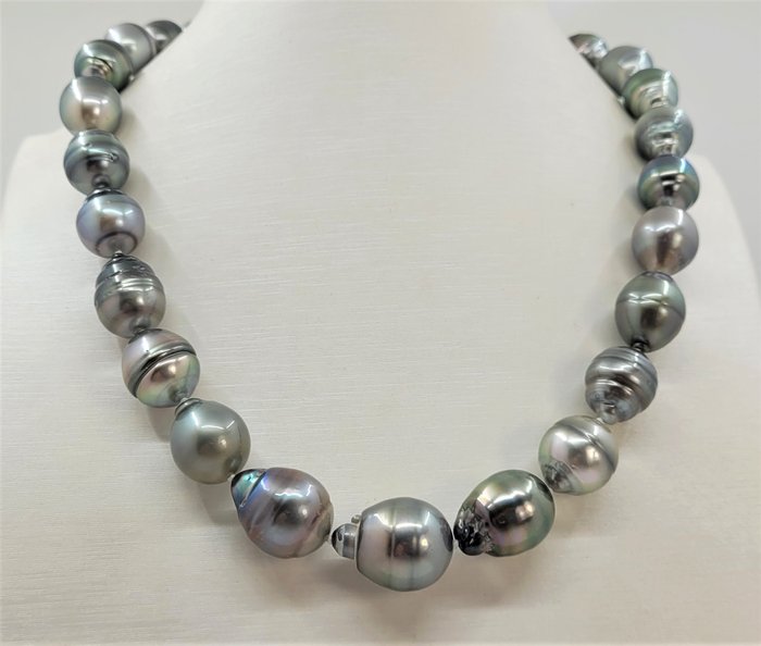 Preview of the first image of no reserve - 12x15mm Large Multi Tahitian Pearls - 925 Silver - Necklace.