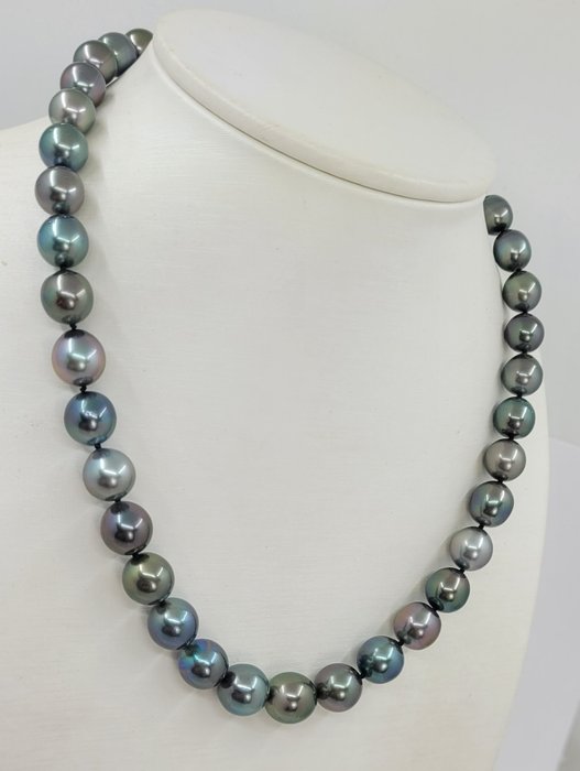 Image 3 of no reserve -Pearl Science Lab certified - 8.0x10.9mm Multi Tahitian Pearls - 14 kt. White gold - Ne