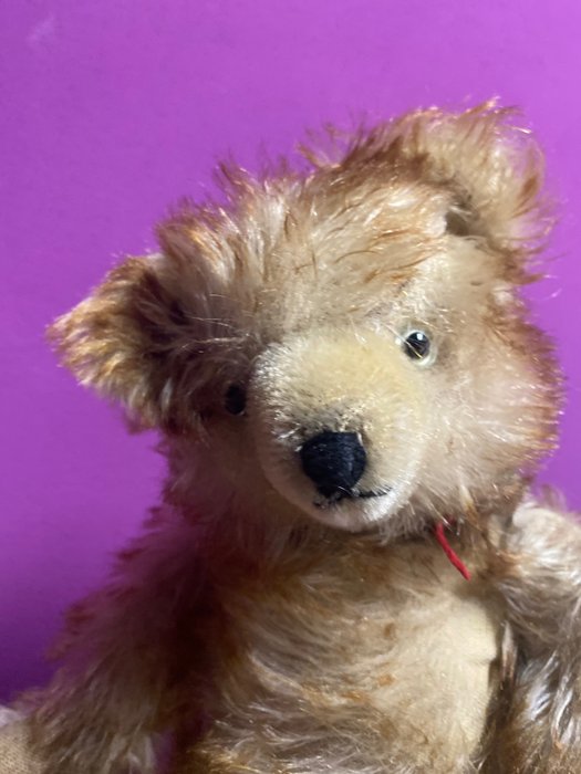 Preview of the first image of Hermann Teddy - Vintage - Teddy bear with pointed mohair - 1950-1959 - Germany.